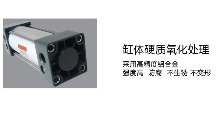 標(biāo)準(zhǔn)氣缸圖 標(biāo)準(zhǔn)氣缸圖