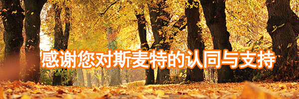 無桿氣缸廠家 無桿氣缸廠家