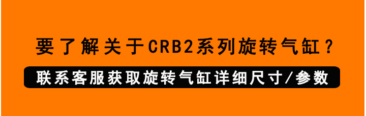 CRB2旋轉(zhuǎn)氣缸