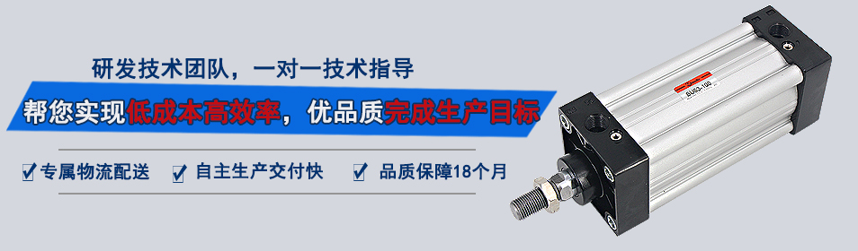 標(biāo)準(zhǔn)氣缸